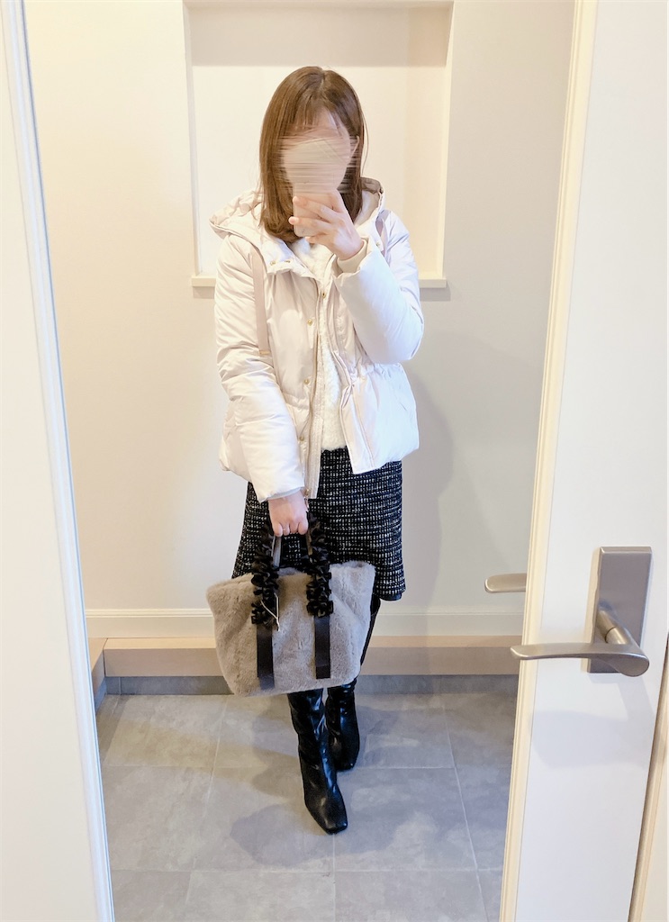 f:id:inamililyflower:20241230194604j:image