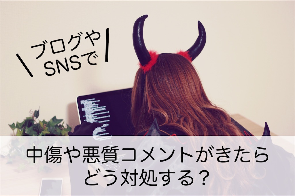f:id:inamililyflower:20250107210435j:image