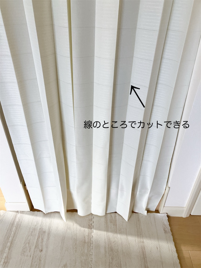 f:id:inamililyflower:20250107224013j:image
