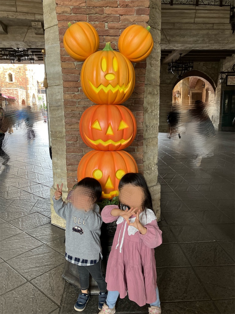 f:id:inamililyflower:20250219223716j:image