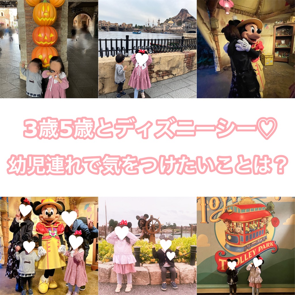 f:id:inamililyflower:20250221133649j:image