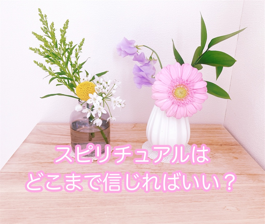 f:id:inamililyflower:20250313183935j:image