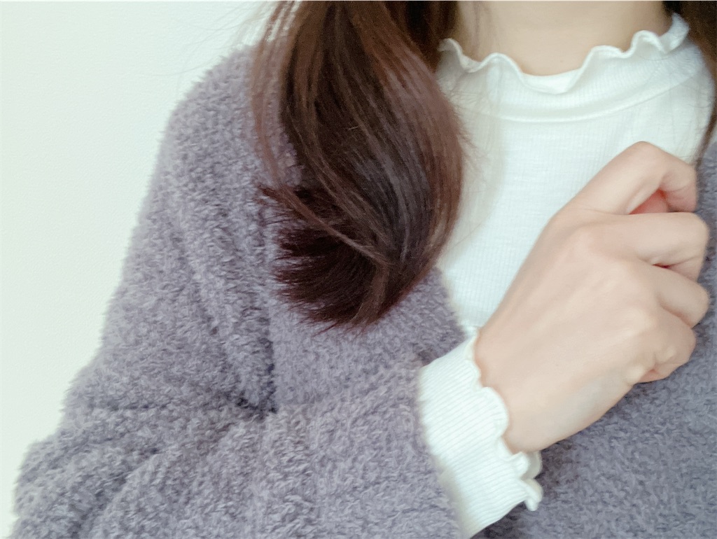 f:id:inamililyflower:20260201165132j:image