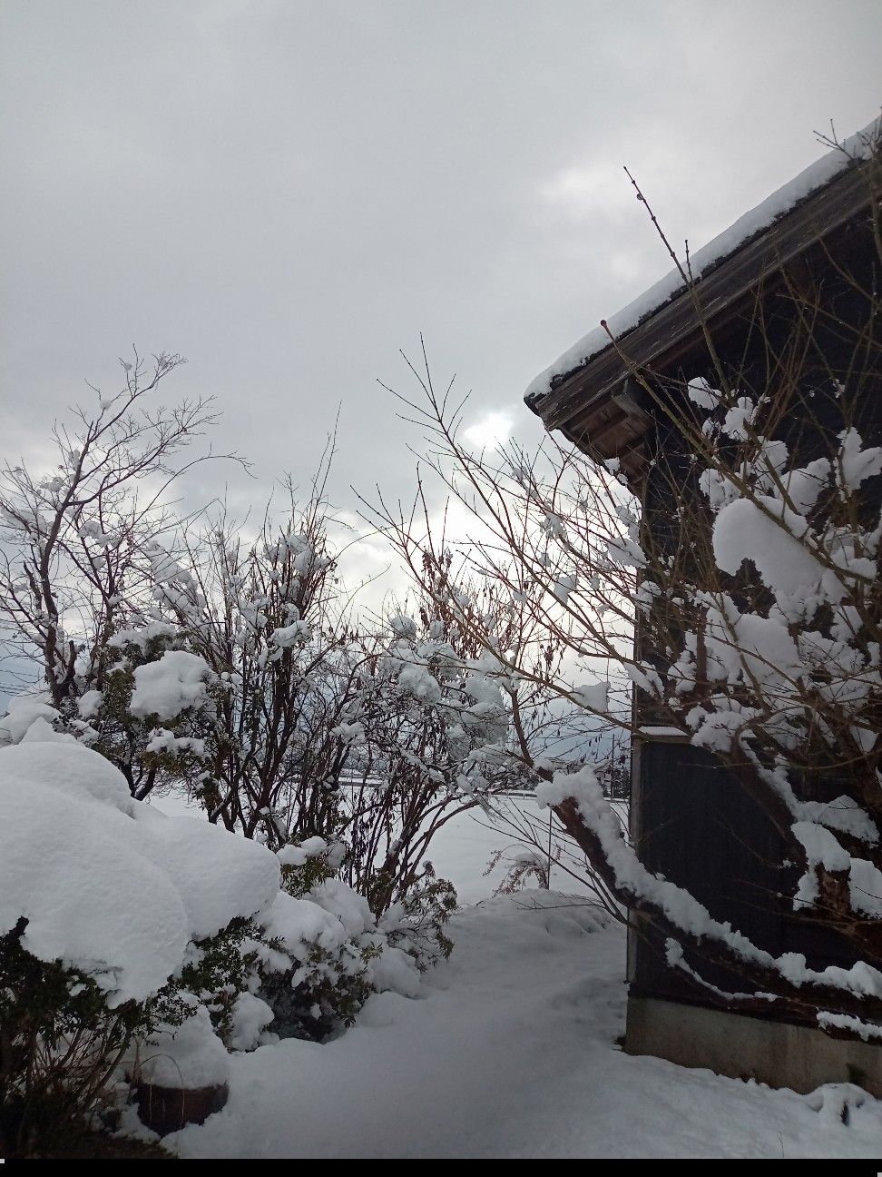 f:id:inamorato:20260103100914j:image