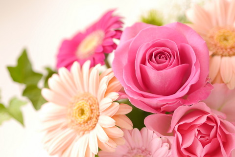 flower_pink