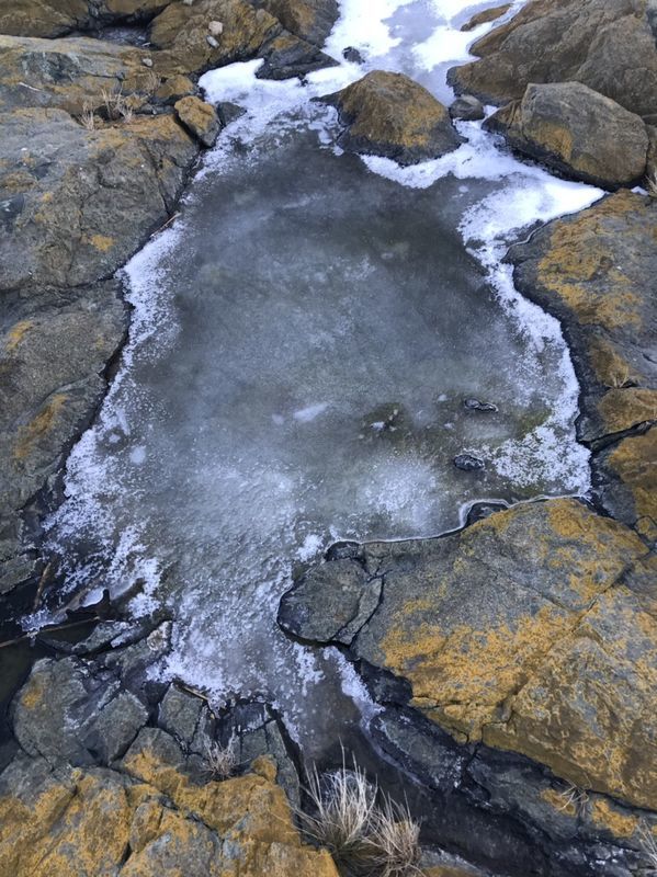 f:id:inarikue:20190112220616j:plain