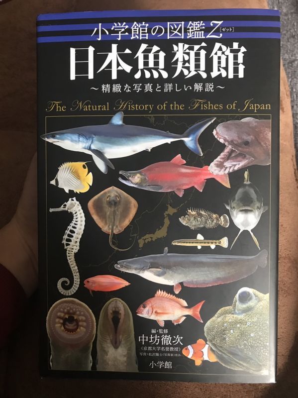 f:id:inarikue:20190112220619j:plain