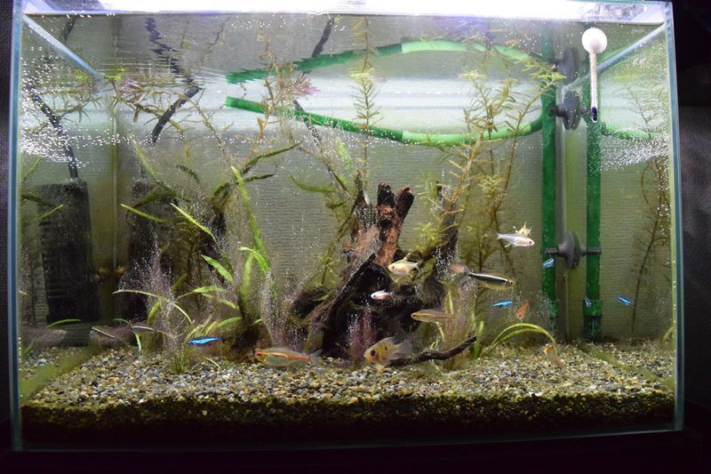 f:id:inarikue:20190202233939j:plain