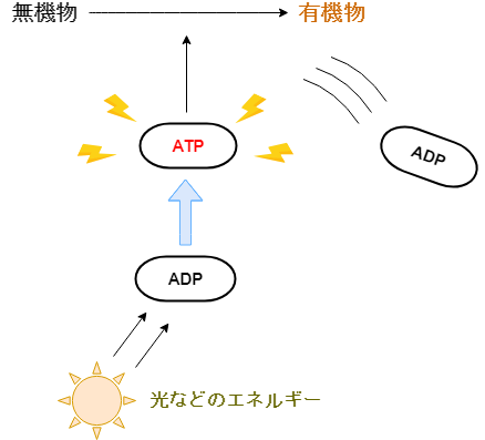f:id:inarikue:20190307124137p:plain
