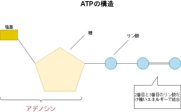 f:id:inarikue:20190307130429p:plain