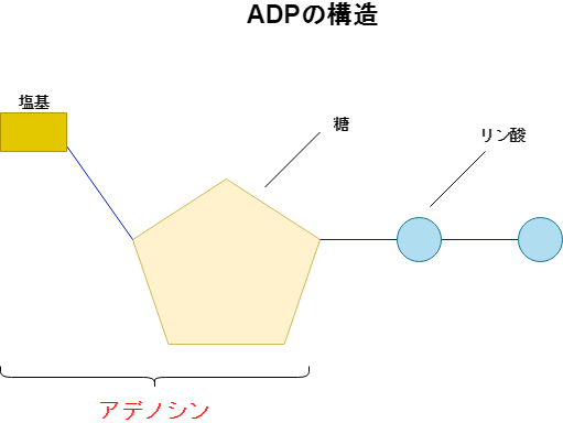 f:id:inarikue:20190307131619p:plain