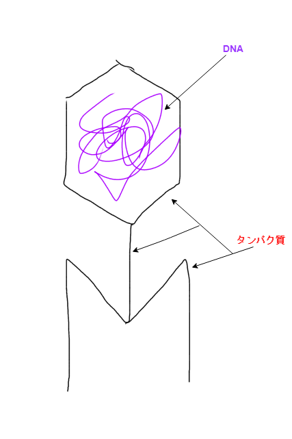f:id:inarikue:20190319232812p:plain