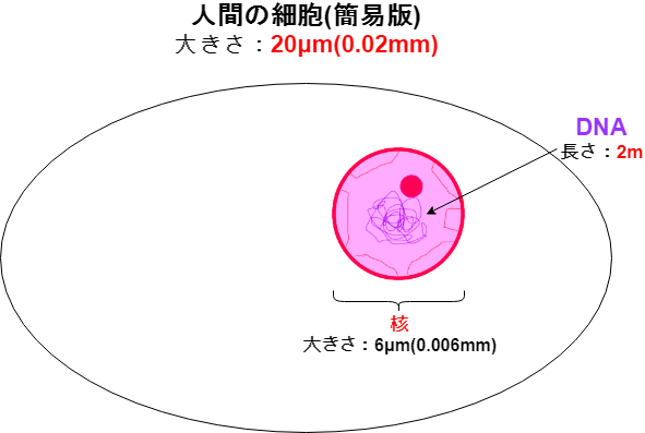 f:id:inarikue:20190321190351p:plain f:id:inarikue:20190321190351p:plain