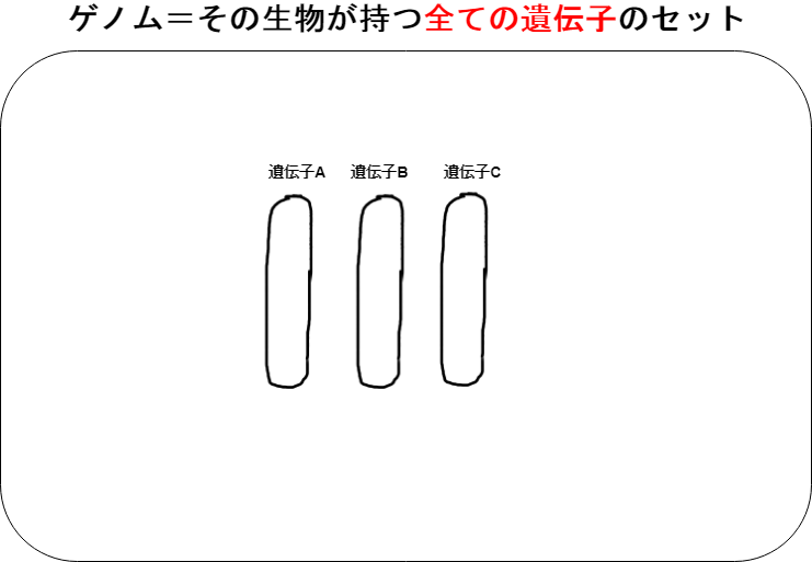 f:id:inarikue:20190331233656p:plain
