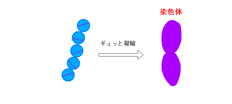 f:id:inarikue:20190401020746p:plain