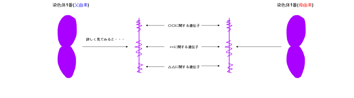 f:id:inarikue:20190401025836p:plain