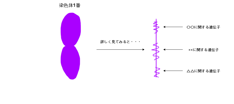 f:id:inarikue:20190401025858p:plain