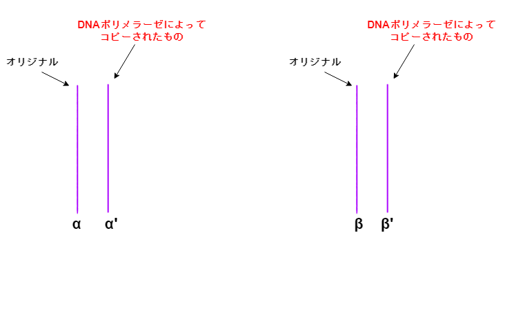 f:id:inarikue:20190411032943p:plain f:id:inarikue:20190411032943p:plain