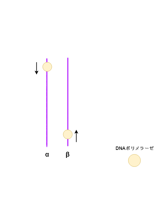 f:id:inarikue:20190411033553p:plain f:id:inarikue:20190411033553p:plain