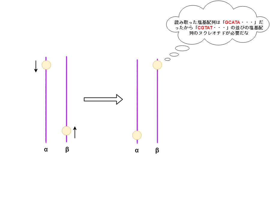 f:id:inarikue:20190411033817p:plain f:id:inarikue:20190411033817p:plain