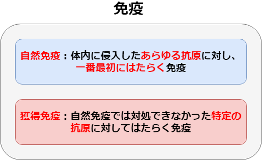 f:id:inarikue:20190501184726p:plain