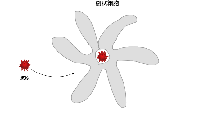 f:id:inarikue:20190501220934p:plain