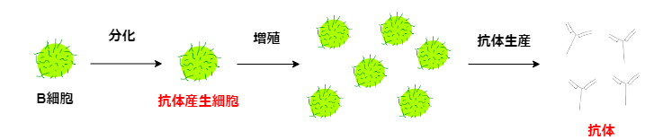 f:id:inarikue:20190501224108p:plain