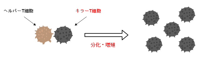 f:id:inarikue:20190512223733p:plain