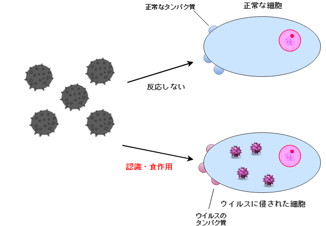 f:id:inarikue:20190512225756p:plain