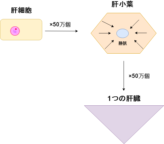 f:id:inarikue:20190609005646p:plain