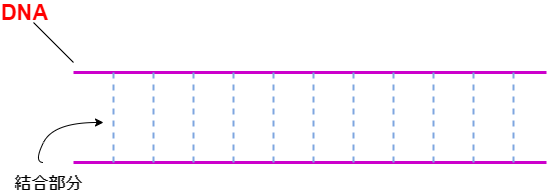 f:id:inarikue:20191006142615p:plain f:id:inarikue:20191006142615p:plain