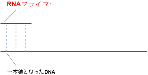 f:id:inarikue:20191006145227p:plain f:id:inarikue:20191006145227p:plain