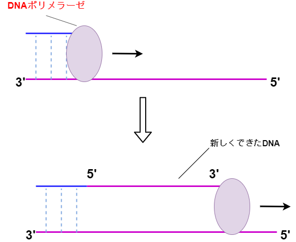 f:id:inarikue:20191006151741p:plain f:id:inarikue:20191006151741p:plain