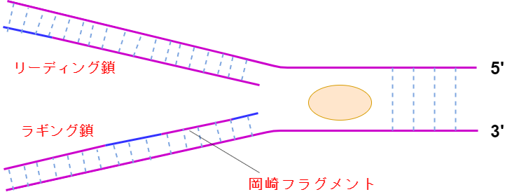 f:id:inarikue:20191009212957p:plain f:id:inarikue:20191009212957p:plain