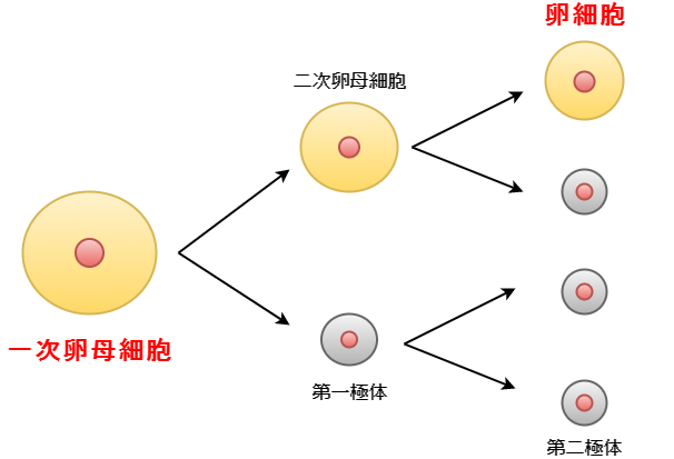 f:id:inarikue:20191104231509p:plain