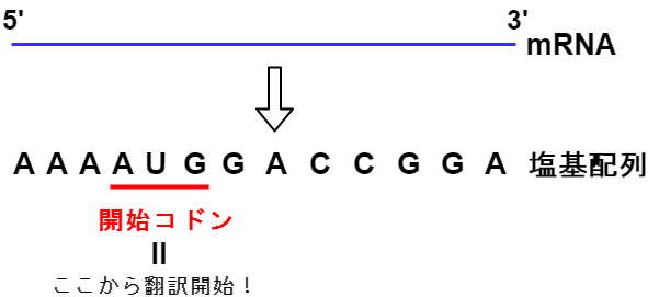 f:id:inarikue:20191113102318p:plain f:id:inarikue:20191113102318p:plain