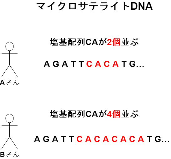 生きるものに魅せられて はてなブログ
