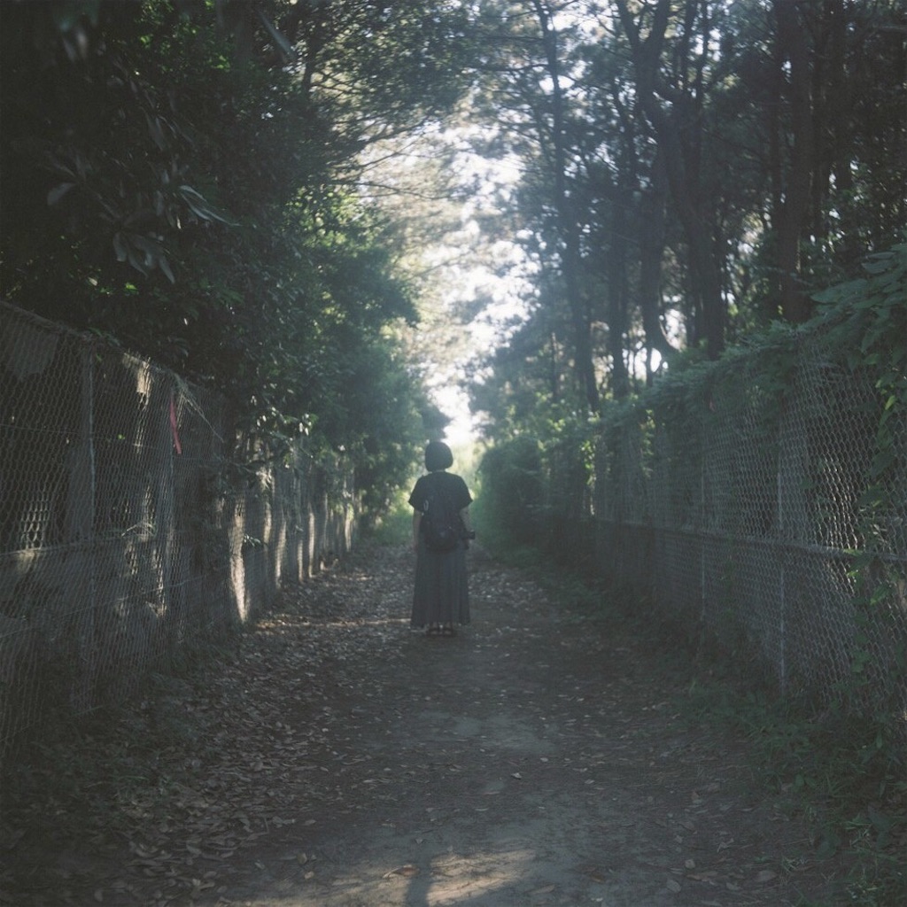 f:id:inaryu070:20170108155725j:image