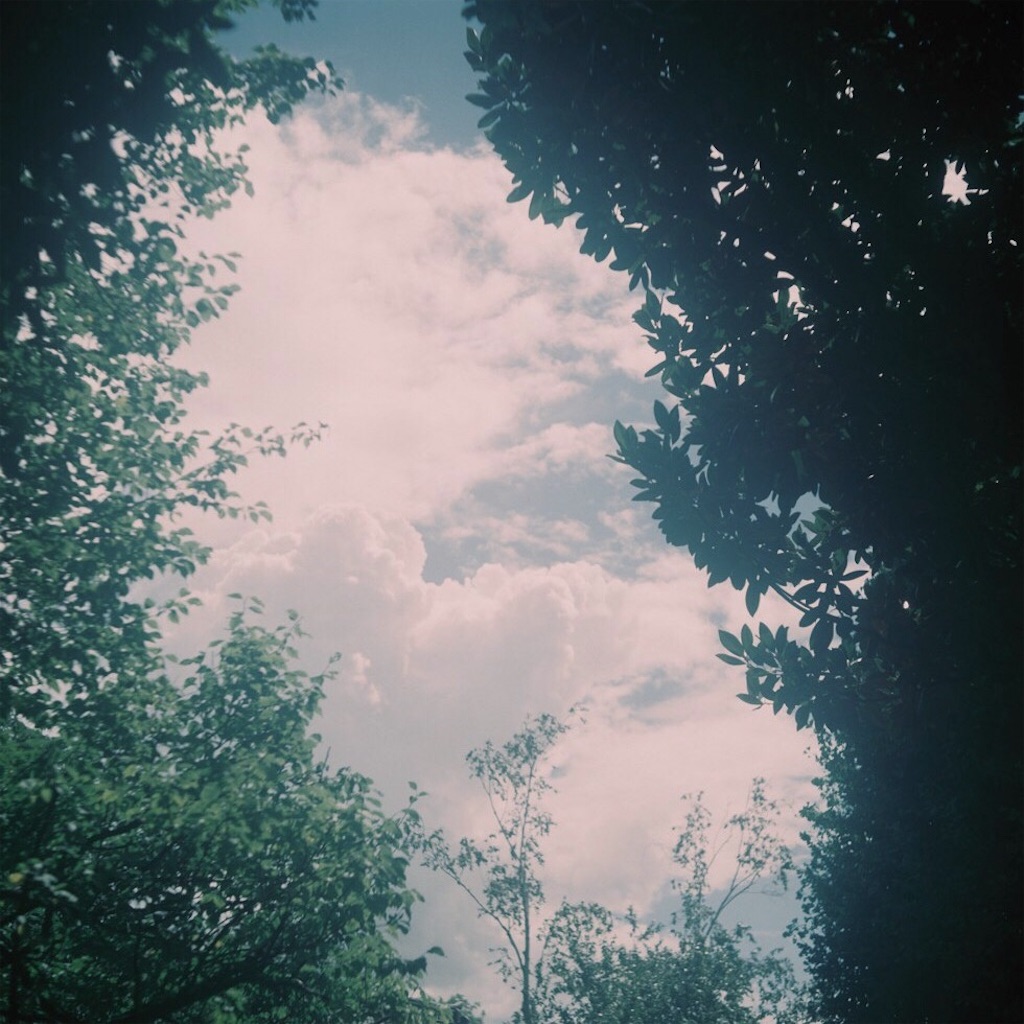 f:id:inaryu070:20170108155744j:image