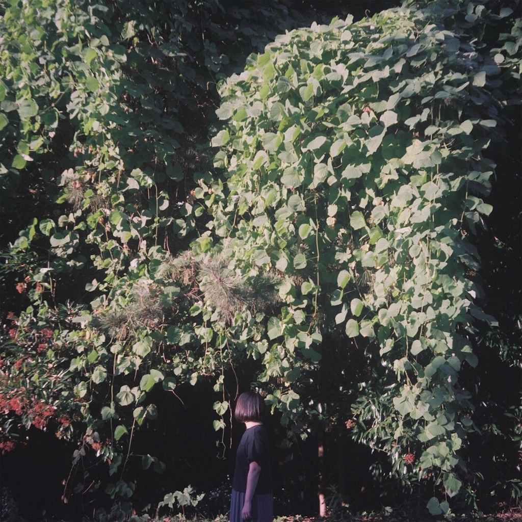 f:id:inaryu070:20170108155830j:image