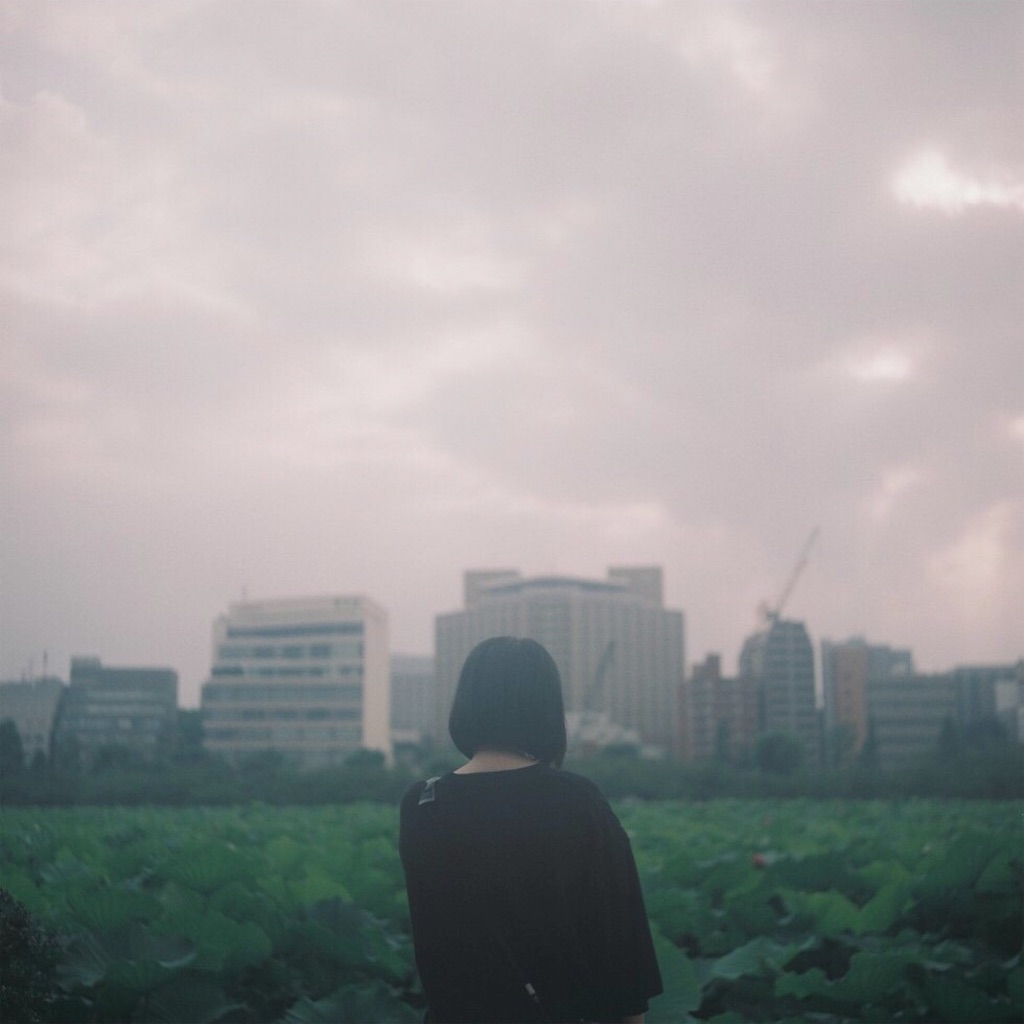 f:id:inaryu070:20170108160015j:image