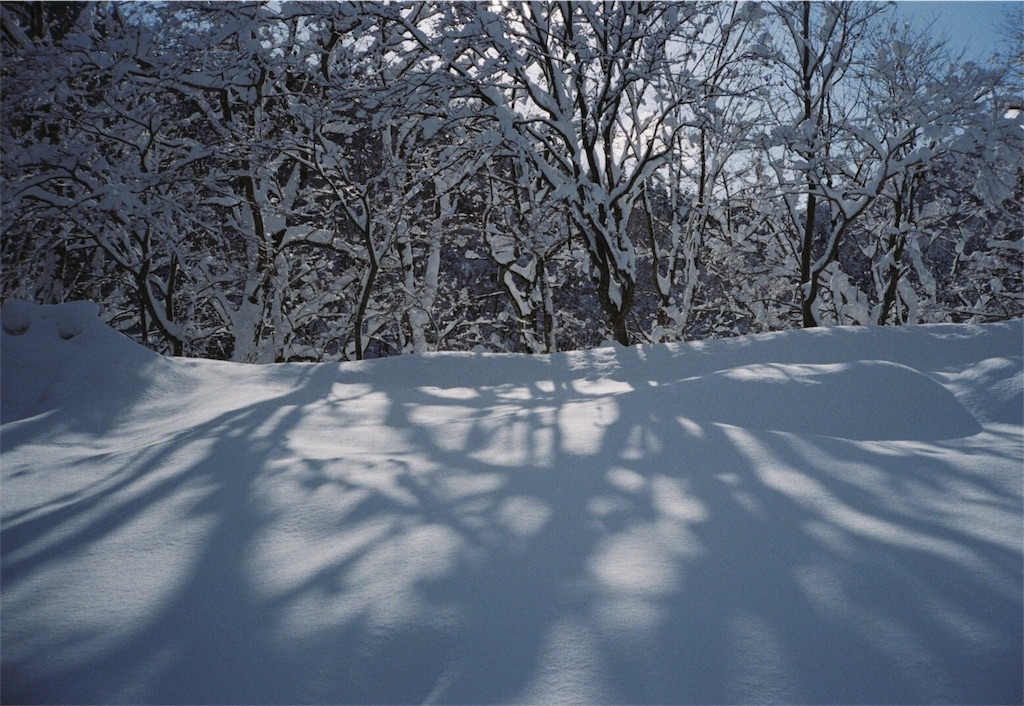 f:id:inaryu070:20170108163749j:image f:id:inaryu070:20170108163749j:image