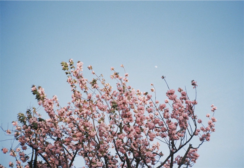 f:id:inaryu070:20170108170101j:image f:id:inaryu070:20170108170101j:image