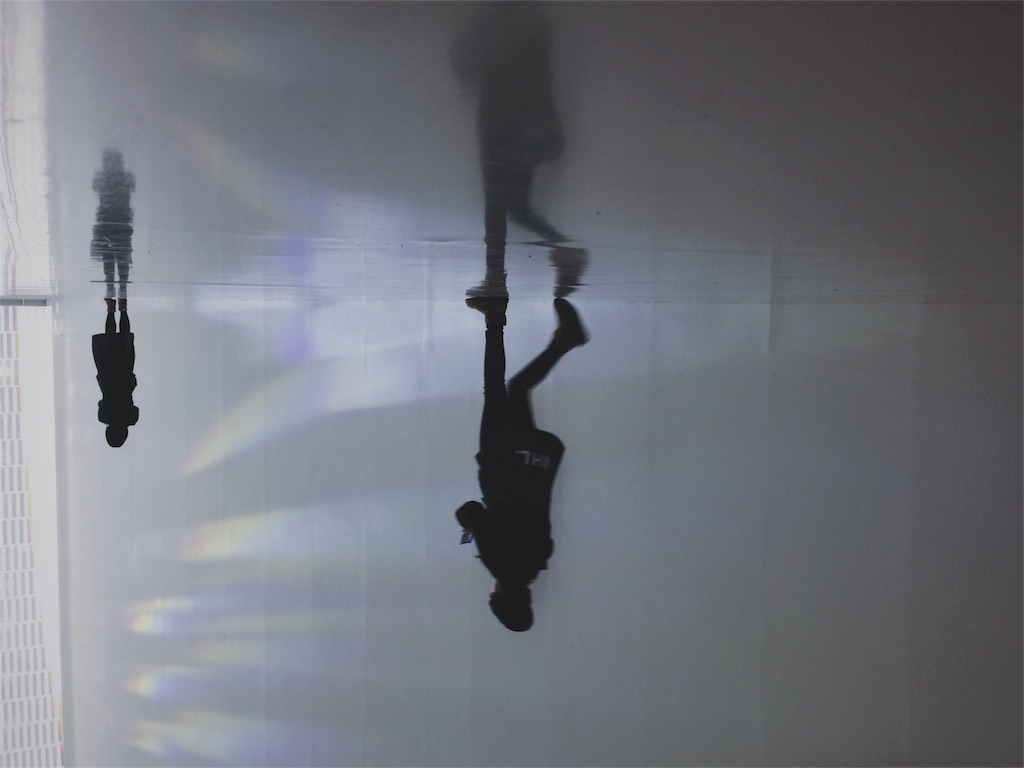 f:id:inaryu070:20170113173617j:image