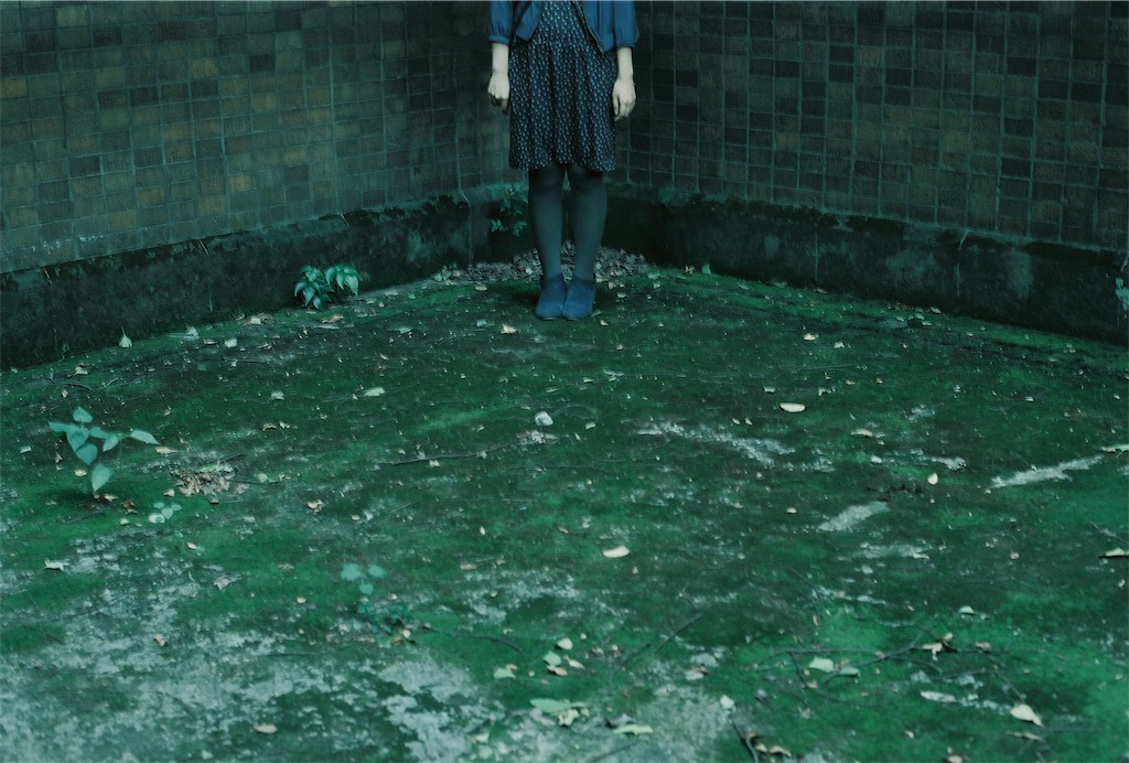 f:id:inaryu070:20170115174223j:image