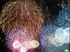 f:id:inbloom:20081017120348j:image