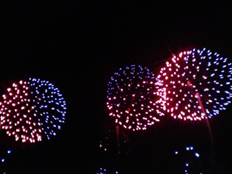 f:id:inbloom:20081017120349j:image