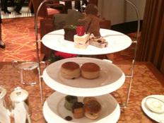 f:id:inbloom:20100122123458j:image