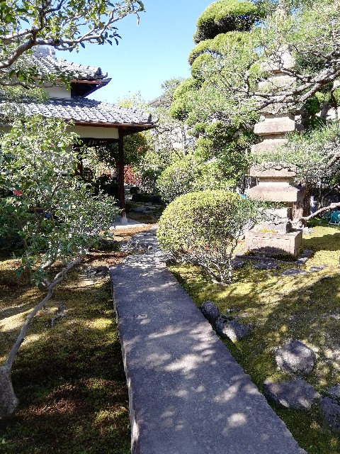 f:id:incensekitchen:20200822170848j:image