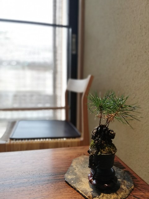 f:id:incensekitchen:20220404180517j:image f:id:incensekitchen:20220404180517j:image